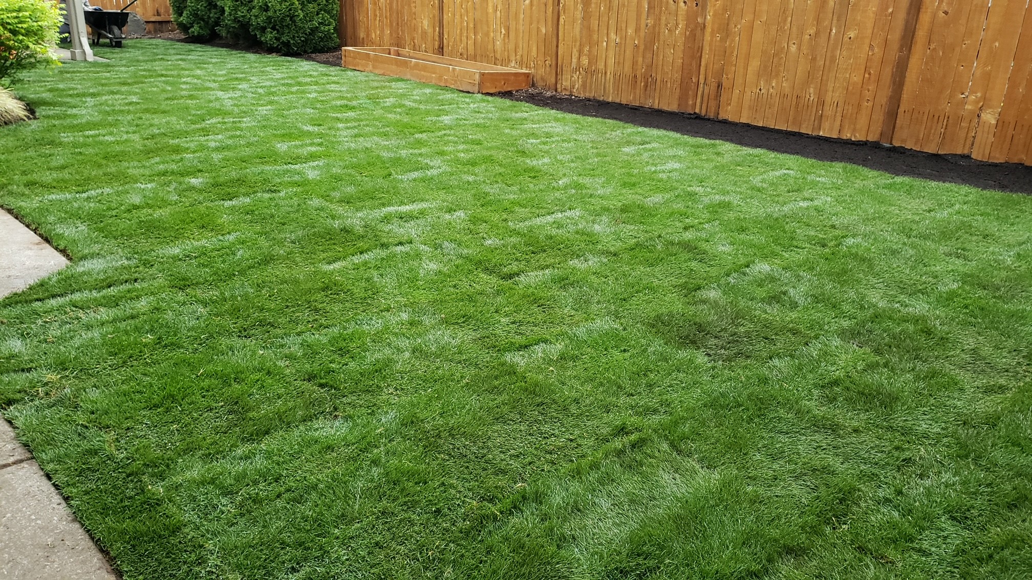 Lawn Care & Maintenance All 4 Seasons Maintenance & Lawn Care LLC